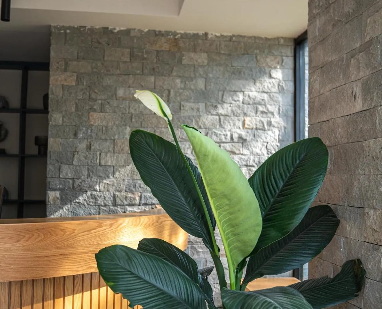Appartamento Financial District! Modern Getaway M03 Guadalajara