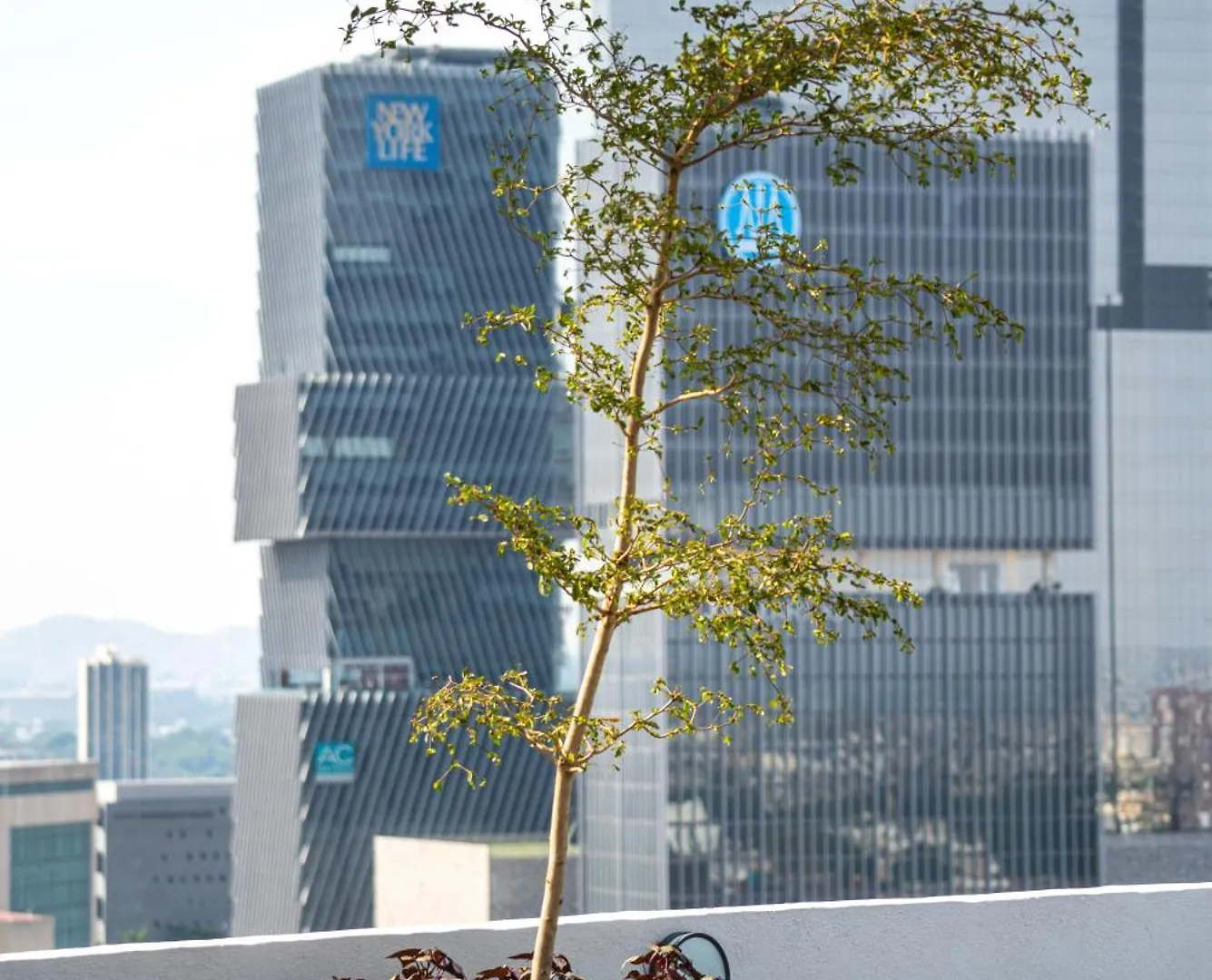 Appartamento Financial District! Modern Getaway M03 Guadalajara